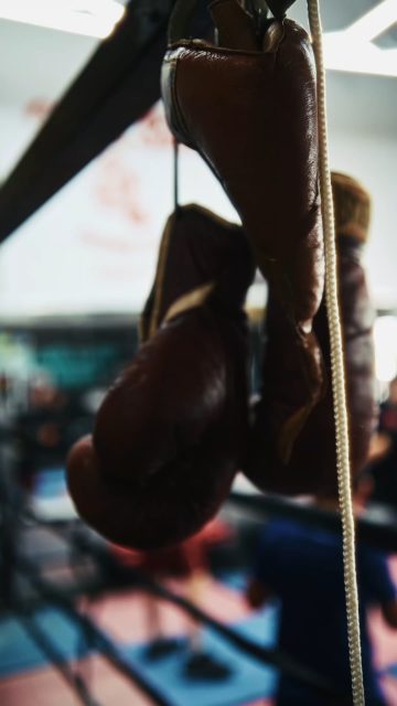 YOUTH BOXING @ WSBC in Kingston's West End

VIDEOL @rogneyimages