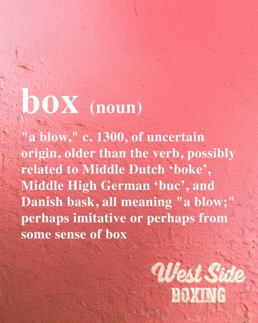 WHY IS IT CALLED 'BOXING'?

The word comes from the term “box,” meaning a blow or strike with the hand. Long before gloves, ropes, and championship belts, fighters were said to be “boxing” because they were trading punches — literally giving and receiving “boxes.”