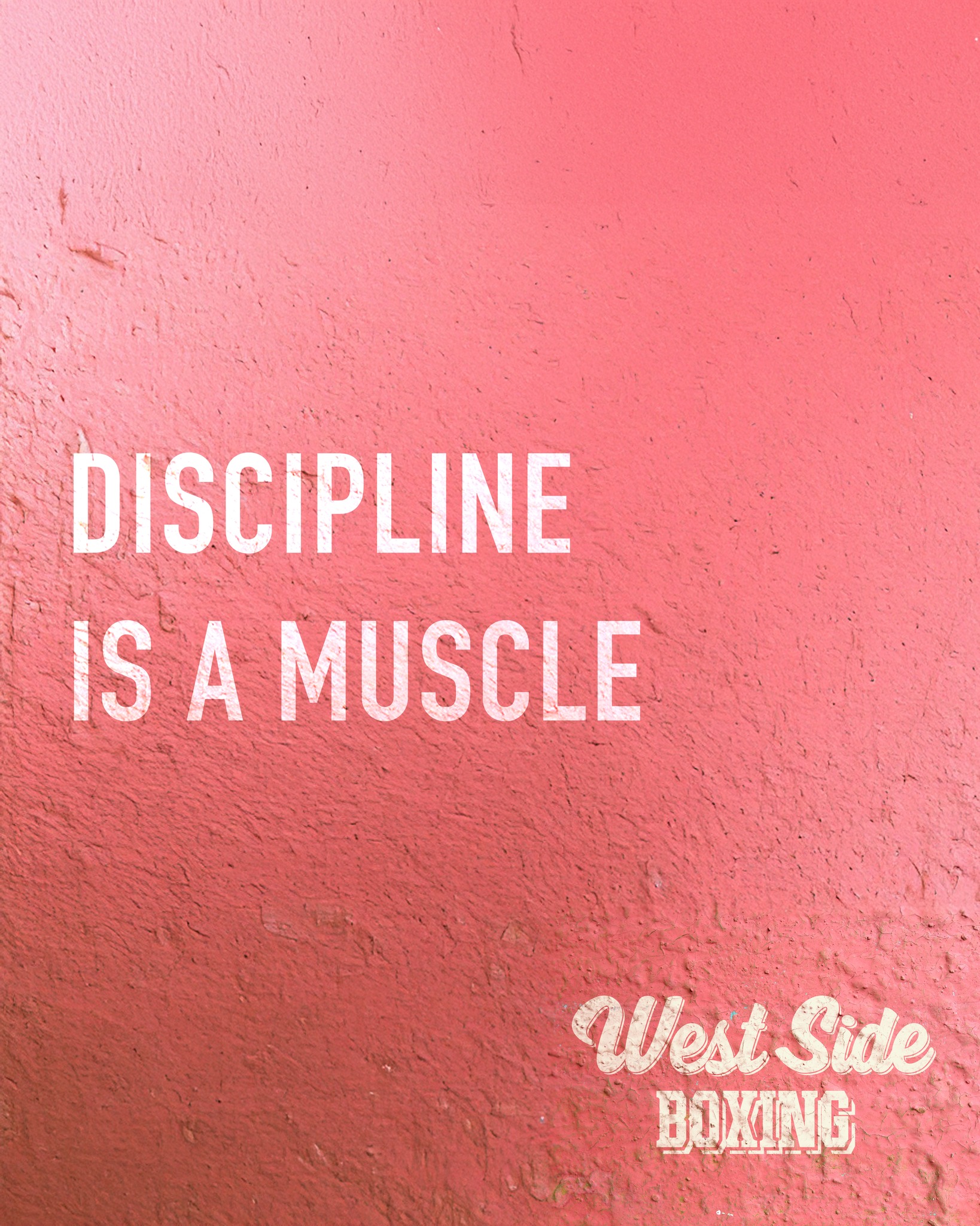 💪 Discipline is a muscle — the more you train it, the stronger it gets.

Motivation comes and goes, but discipline is what keeps you lacing up your gloves, showing up, and putting in the work day after day. Every round, every rep, every drop of sweat builds not just your body — but your mindset.

Keep training that muscle. 💥
#WestSideBoxing #KingstonBoxing
